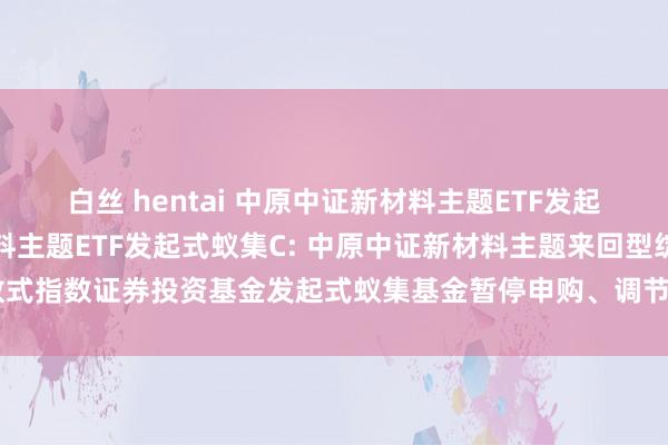 白丝 hentai 中原中证新材料主题ETF发起式蚁集A，中原中证新材料主题ETF发起式蚁集C: 中原中证新材料主题来回型绽放式指数证券投资基金发起式蚁集基金暂停申购、调节转入及依期定额申购业务的公告