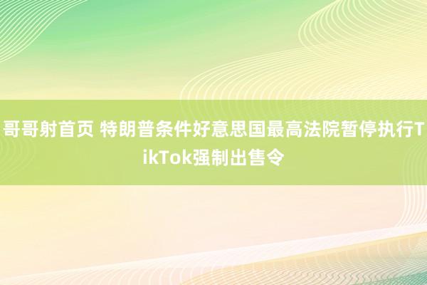 哥哥射首页 特朗普条件好意思国最高法院暂停执行TikTok强制出售令