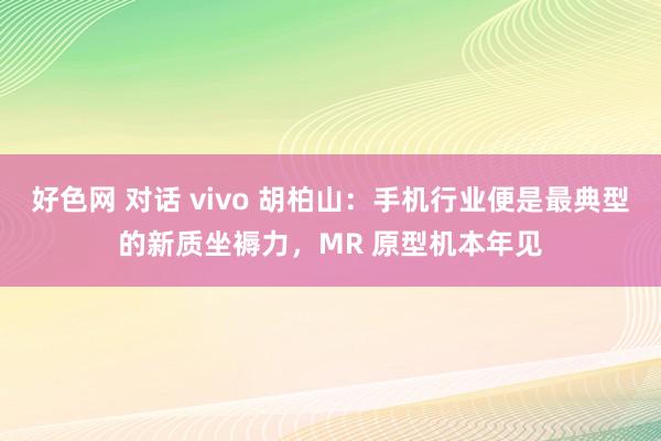 好色网 对话 vivo 胡柏山：手机行业便是最典型的新质坐褥力，MR 原型机本年见