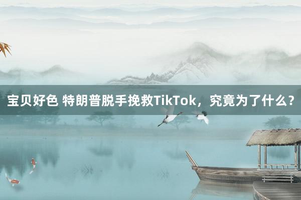 宝贝好色 特朗普脱手挽救TikTok，究竟为了什么？