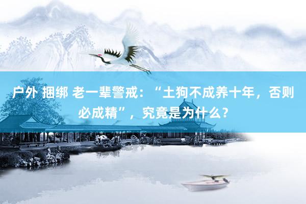 户外 捆绑 老一辈警戒：“土狗不成养十年，否则必成精”，究竟是为什么？