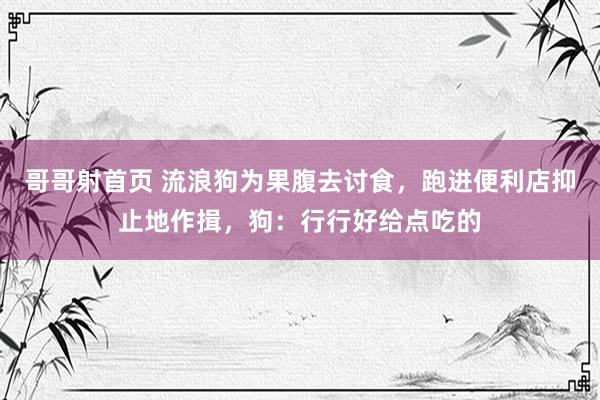 哥哥射首页 流浪狗为果腹去讨食，跑进便利店抑止地作揖，狗：行行好给点吃的