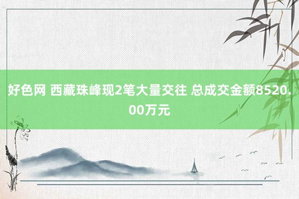 好色网 西藏珠峰现2笔大量交往 总成交金额8520.00万元