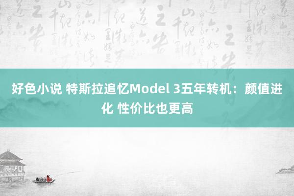 好色小说 特斯拉追忆Model 3五年转机：颜值进化 性价比也更高