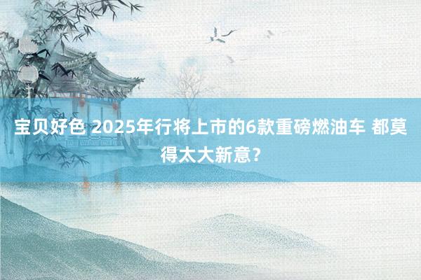 宝贝好色 2025年行将上市的6款重磅燃油车 都莫得太大新意？