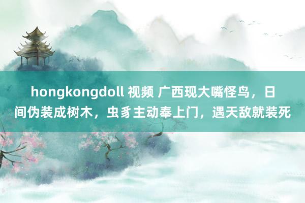 hongkongdoll 视频 广西现大嘴怪鸟，日间伪装成树木，虫豸主动奉上门，遇天敌就装死