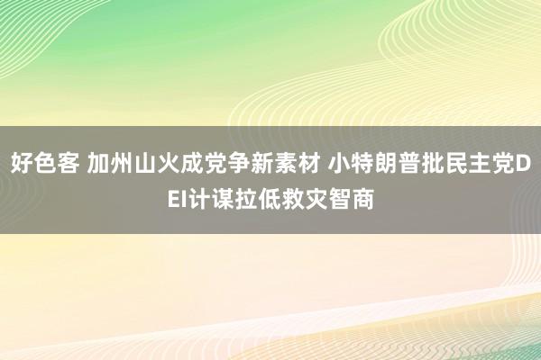 好色客 加州山火成党争新素材 小特朗普批民主党DEI计谋拉低救灾智商