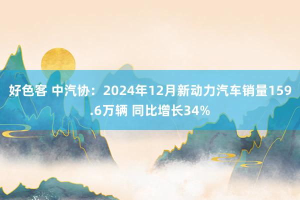 好色客 中汽协：2024年12月新动力汽车销量159.6万辆 同比增长34%