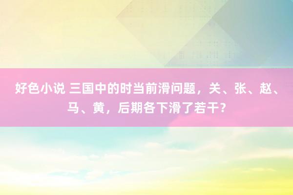 好色小说 三国中的时当前滑问题，关、张、赵、马、黄，后期各下滑了若干？