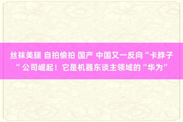 丝袜美腿 自拍偷拍 国产 中国又一反向“卡脖子”公司崛起！它是机器东谈主领域的“华为”